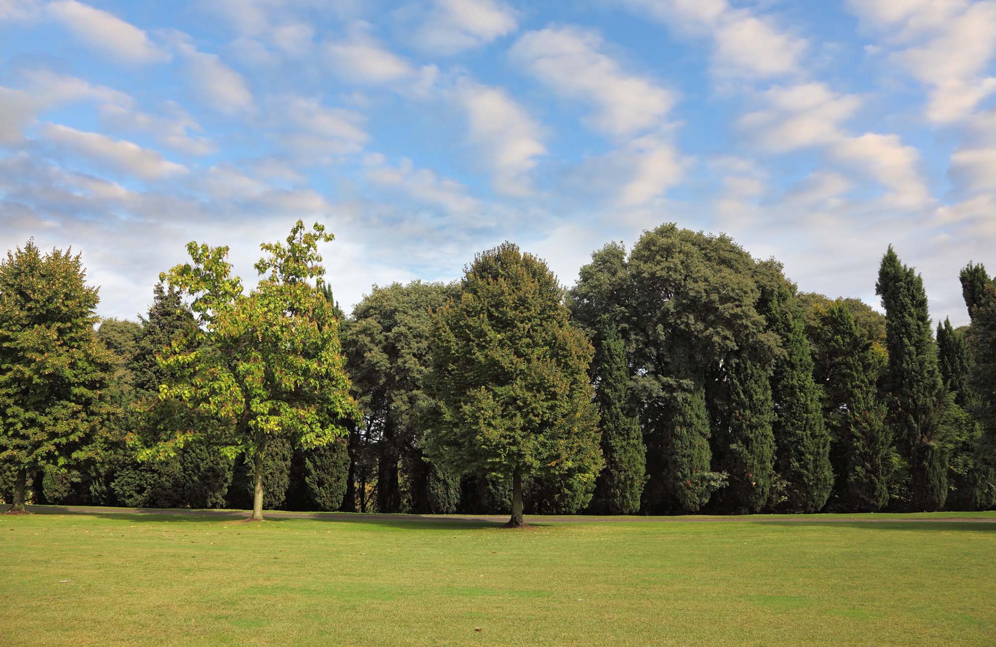 ovely green grassy lawn and a dense forest. The magnificent Italian garden-park Sigurta around Verona