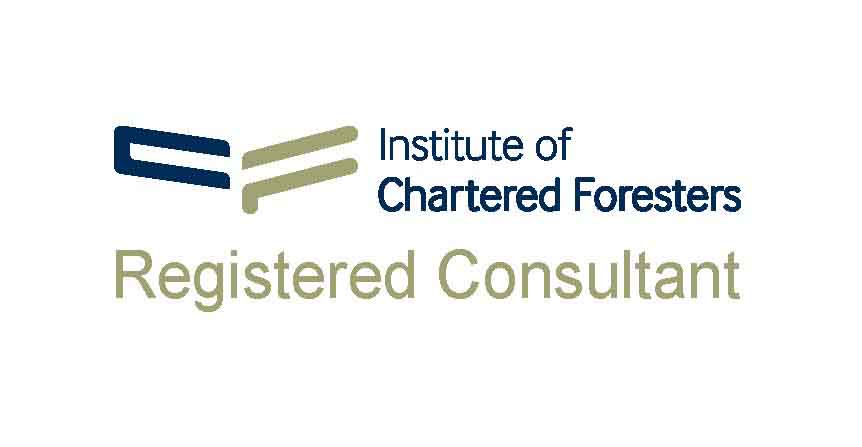 ICF Logo