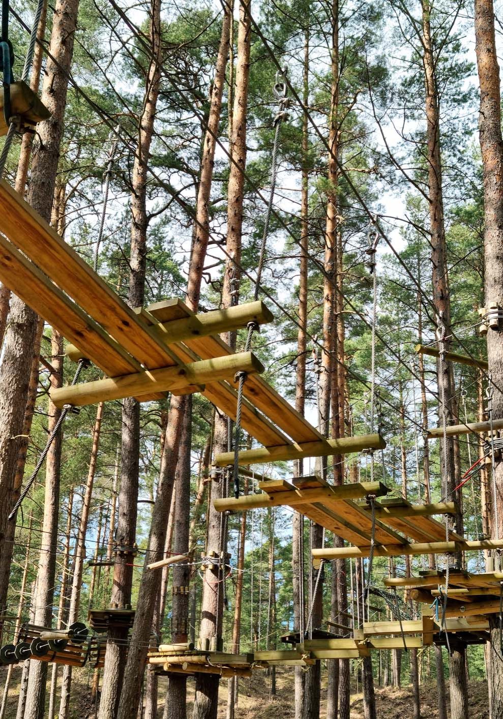 Rope obstacle track high in the trees in outdoor adventure park