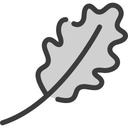 leaf icon